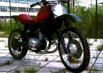 815305.webp