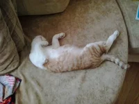 2014-08-16 15.54.07.webp