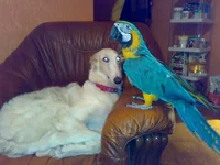02012008103.webp