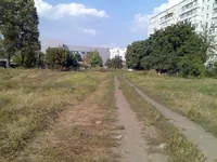 0017-2.webp