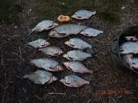 DSCN2075.jpg