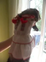 000_0137.webp
