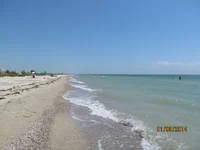 IMG_1124.webp