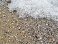 IMG_1126.webp