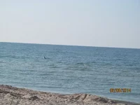 IMG_1219.webp