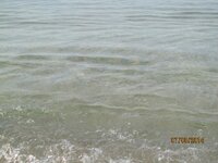 IMG_1239.JPG