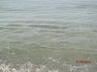 IMG_1239.webp