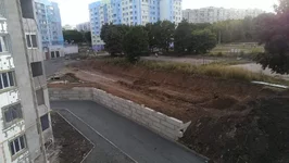 IMAG0188.webp
