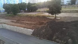 IMAG0189.webp