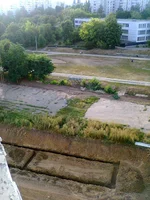 0095.webp