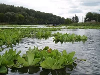 P1011373-1.jpg