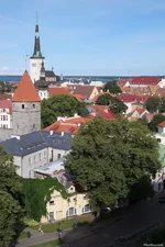 DSCF4361.webp