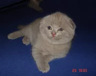 0103.webp