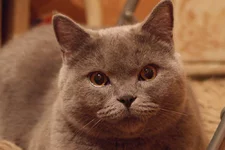 SAM_0715.webp