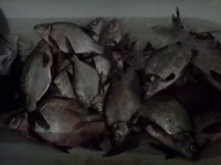 IMG20130829_005.jpg