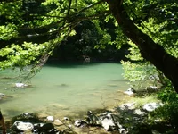 220.webp