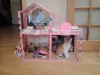 2014-08-28 16.25.17.webp