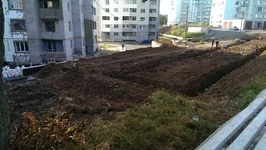 IMAG0200.webp