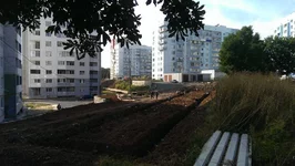 IMAG0201.webp