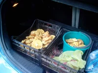 2014-08-30 15-32-14.webp