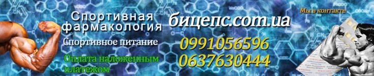 logo (1).webp