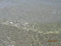 IMG_3511.webp