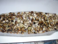 P9204362_новый размер.JPG