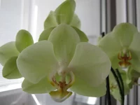 IMG_1778.webp IMG_1778.webp