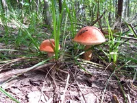 01092014_1.webp