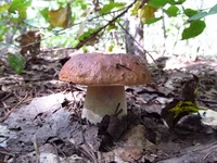 01092014_2.webp