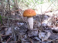 01092014_4.webp