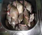 DSC02053.webp