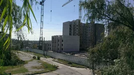 IMAG0505.webp