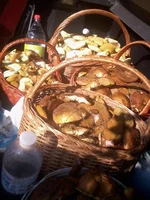 -0060.webp