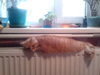 2013-10-03 16.03.41.webp