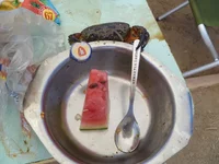 image (6).webp