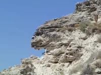 image (7).webp