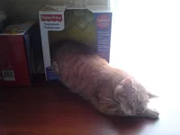 2014-04-16 11.16.13.webp