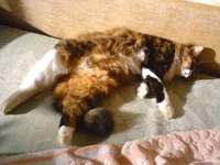 DSC00140.webp
