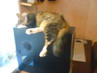 DSC00161.webp