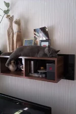 IMAG0204.webp