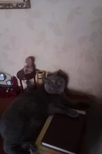 IMAG0209.webp
