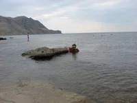 IMG_0479.webp