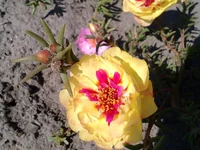 P_20140904_124435.webp