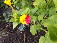 P_20140901_183406.webp