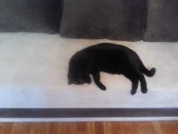 2014-09-11_11.30.11[1].webp