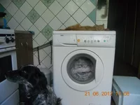 bxals8L7qS4.webp