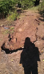 IMAG0047.webp