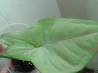 2014-09-11 19.22.40.webp