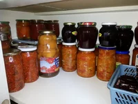 20140905_122357.webp